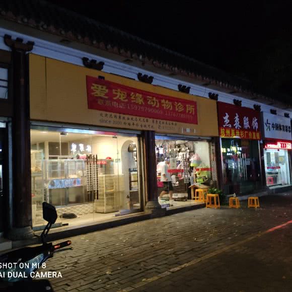 爱宠缘动物诊所:赣州市章贡区卫府里附近