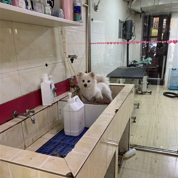 宠爱一生(鼓楼路店):宜春市袁州区鼓楼路附近