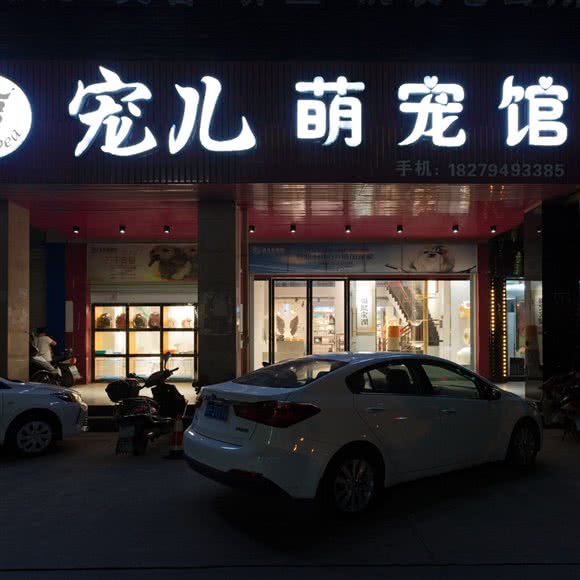 宠儿萌宠馆(赣东大道店):抚州市临川区赣东大道沿线附近