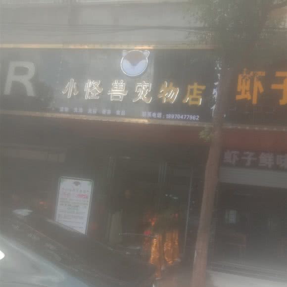 小怪兽宠物店:抚州市临川区上顿渡镇附近