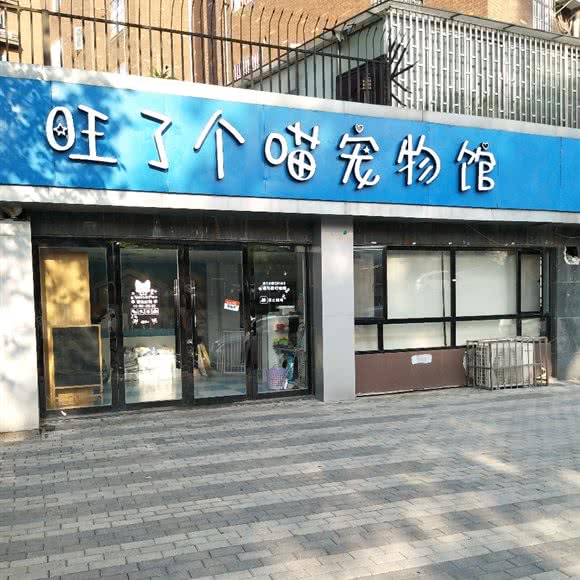 旺了个喵宠物馆:上饶市信州区凤凰影院附近
