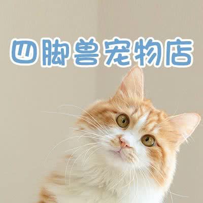 四脚兽宠物店:上饶市广信区广信区附近