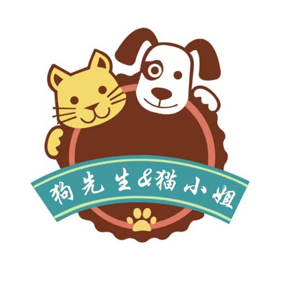 狗先生与猫小姐:济南市历下区高新会展中心附近