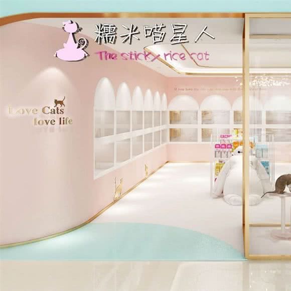 糯米喵星人生活馆·猫舍(高新万达店):济南市历下区高新会展中心附近