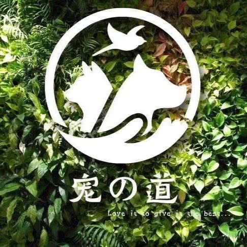 宠道宠物美容店:济南市历下区文化东/西路附近