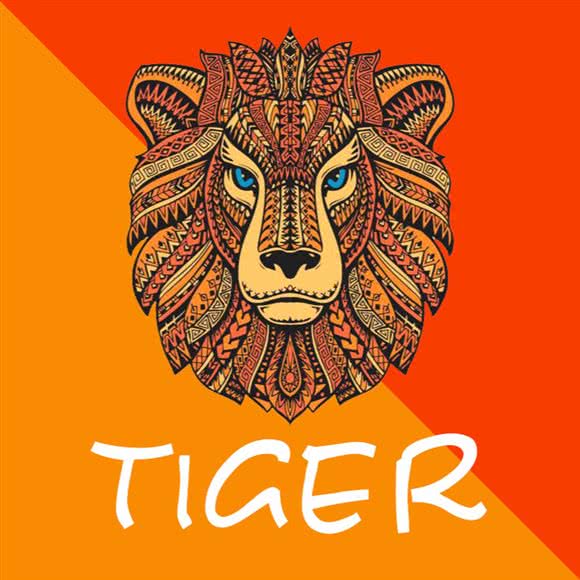 泰格宠物·活体专卖·cfa注册猫舍:济南市历下区华龙路沿线附近