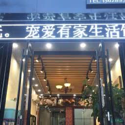 宠爱有家:济南市历下区华龙路沿线附近