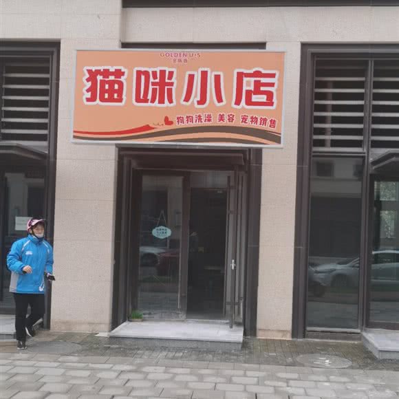 猫咪小店:济南市历下区解放东路附近