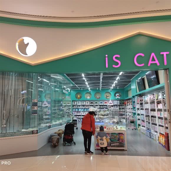 iS CAT(龙湖奥体天街店):济南市历下区解放东路附近