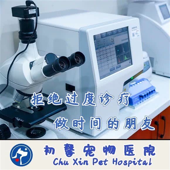 初馨宠物医院历下分院(洪山路店):济南市历下区省博/转山西路附近
