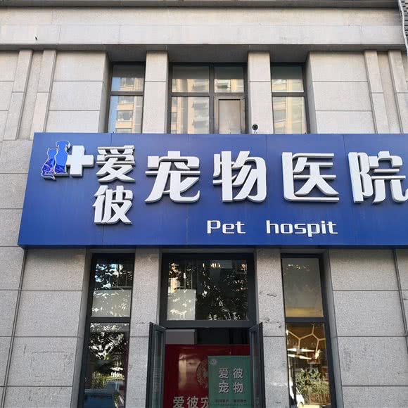 济南爱彼宠物:济南市历下区财经大学东校附近