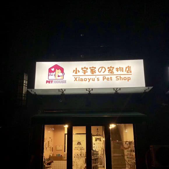 小宇家的宠物店:济南市历下区全运村中央广场附近
