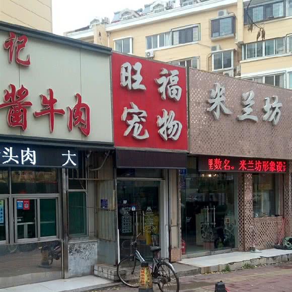 旺福宠物:济南市市中区八一银座附近