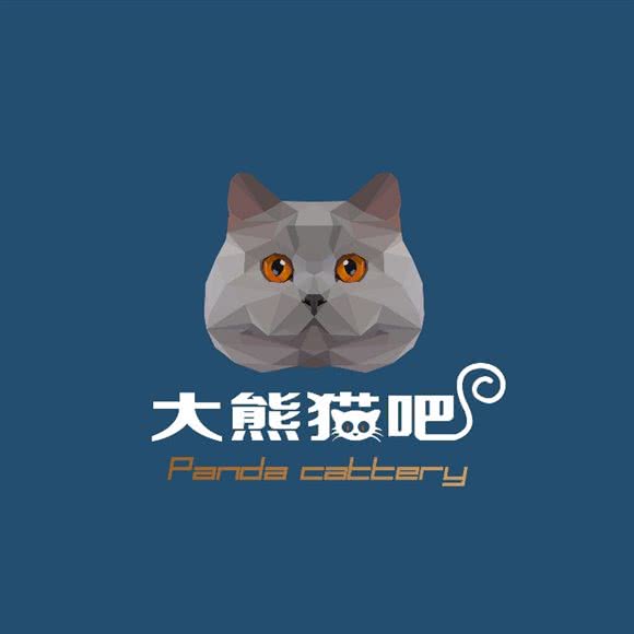 大熊猫吧(一家猫店)(领秀城店):济南市市中区领秀城贵和购物中心附近
