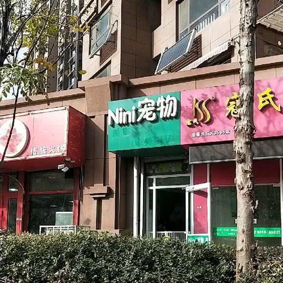 Nini宠物:济南市市中区济大/国际会展中心附近