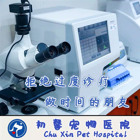 初馨宠物医院·动物眼科中心·猫科中心·夜诊至24:00:济南市市中区中海环宇城附近