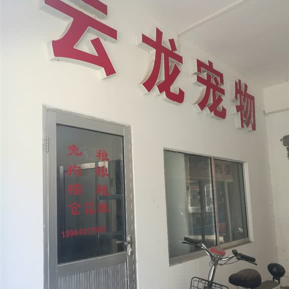 云龙宠物:济南市市中区济南大学西校区附近