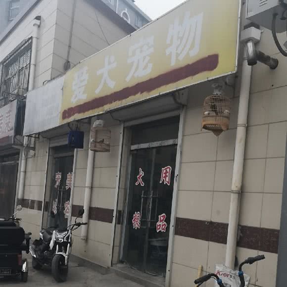 爱犬宠物(东韩路店):济南市市中区白马山/腊山立交桥附近