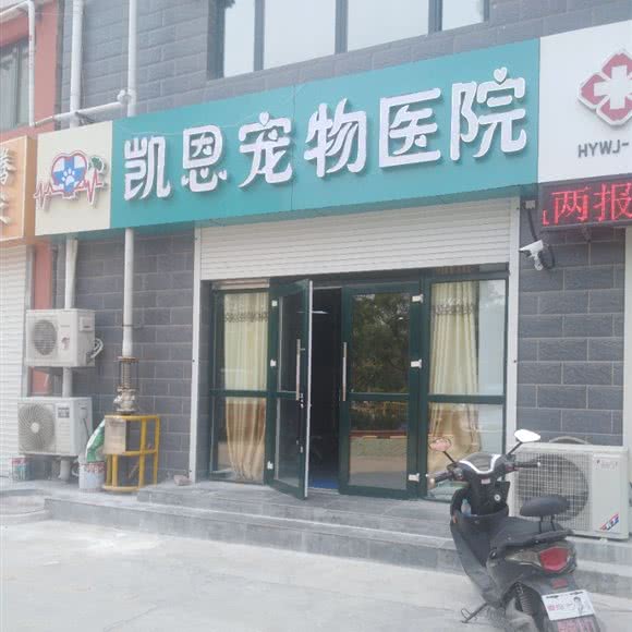 凯恩宠物医院:济南市槐荫区五院附近