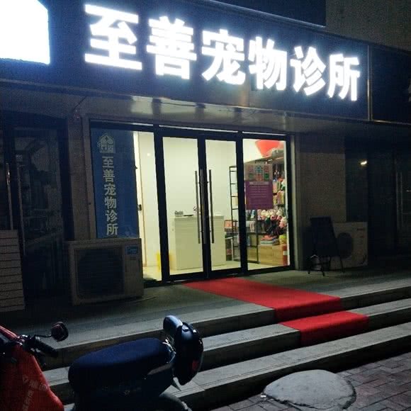 至善宠物诊所:济南市槐荫区济南西站附近