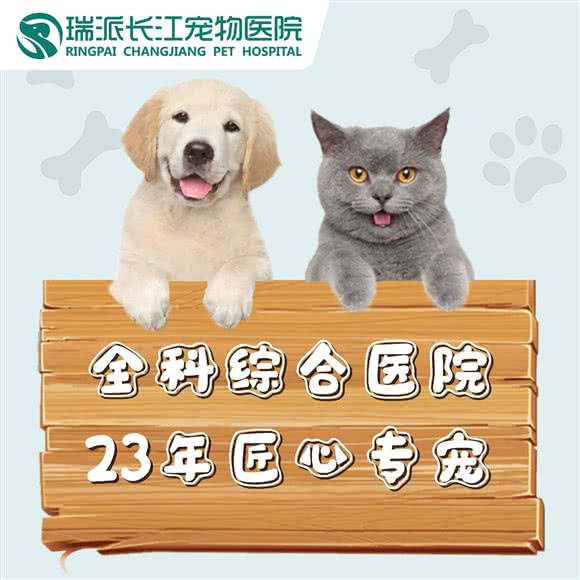 瑞派笑康宠物诊所(和平店):天津城区和平区南市附近