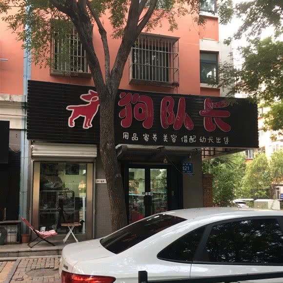 狗队长:济南市天桥区大明湖附近