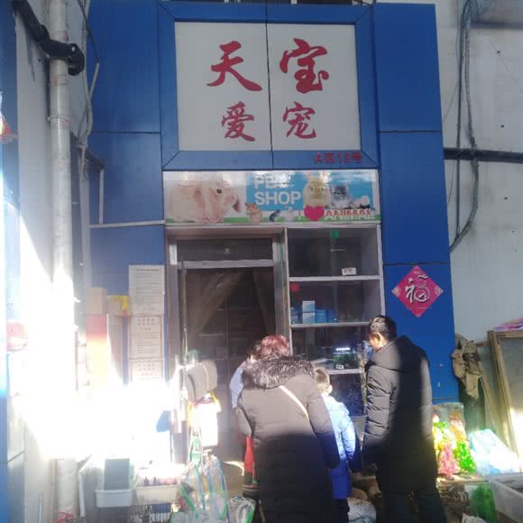天宝爱宠:济南市天桥区大明湖附近