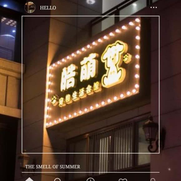 皓萌宠物生活会馆:天津城区河东区上杭路街/河东万达附近