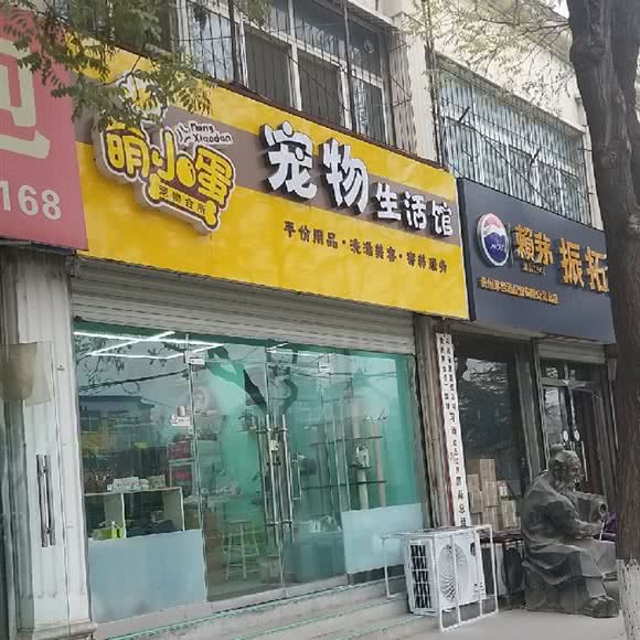 萌小蛋宠物会所:济南市天桥区动物园/师范路附近