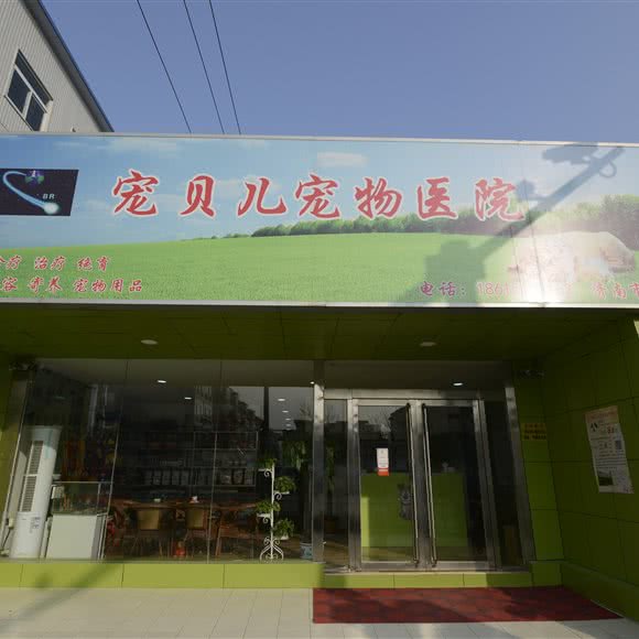 宠贝儿宠物医院:济南市历城区全福立交桥附近