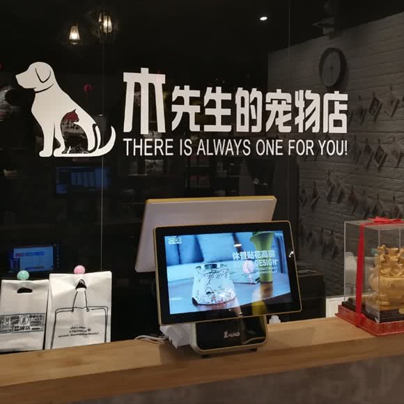 木先生的宠物店(唐冶店):济南市历城区唐冶附近