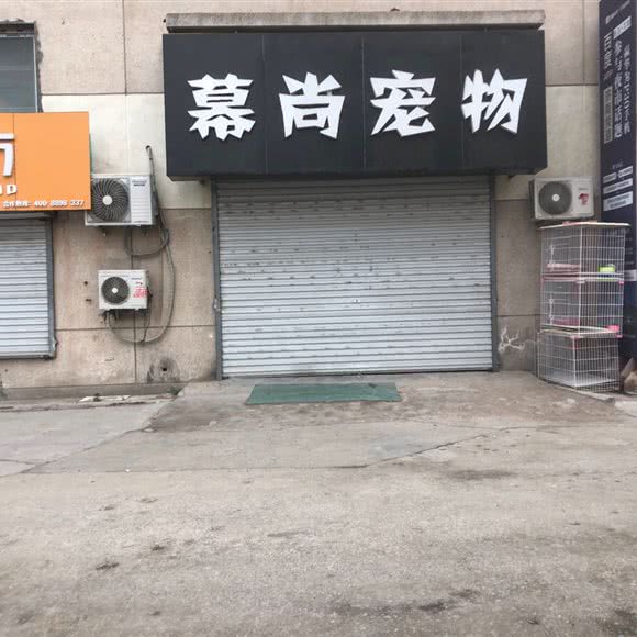 慕尚宠物:济南市历城区祝甸附近