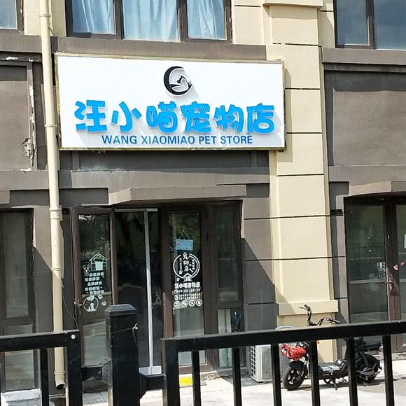 汪小喵宠物店:济南市历城区王舍人/新东站附近