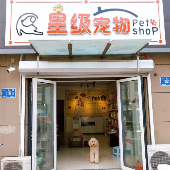 星级宠物:济南市章丘区明水街道附近