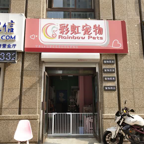 七彩宠物:济南市济阳区济阳区附近