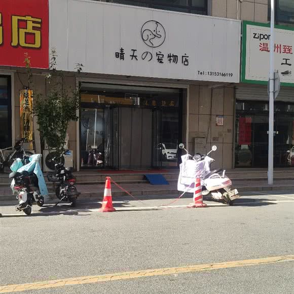 晴天宠物店:济南市济阳区济阳区附近