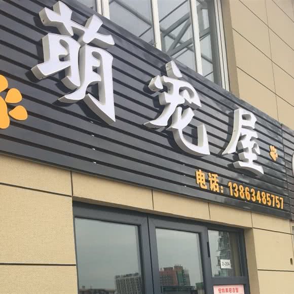 萌宠屋:济南市莱芜区莱芜区附近