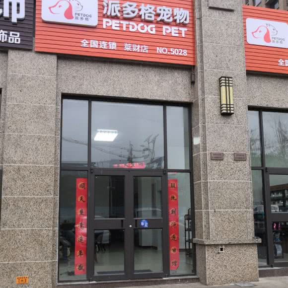 派多格宠物狗:济南市莱芜区莱芜区附近