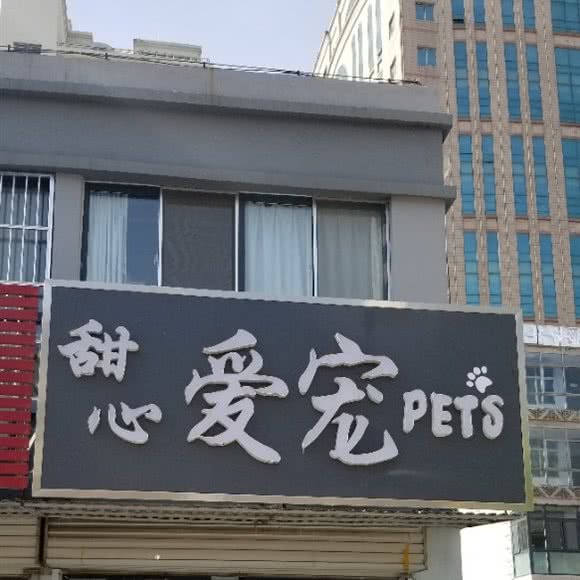 甜心爱宠(教师村店):济南市莱芜区莱芜区附近