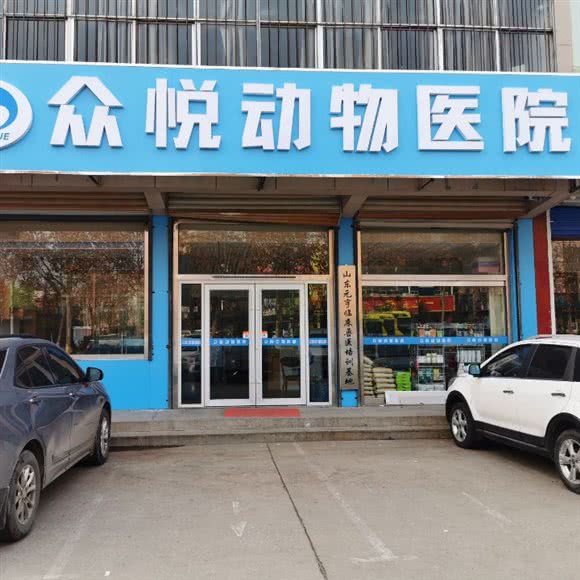 众悦动物医院:济南市莱芜区莱芜区附近