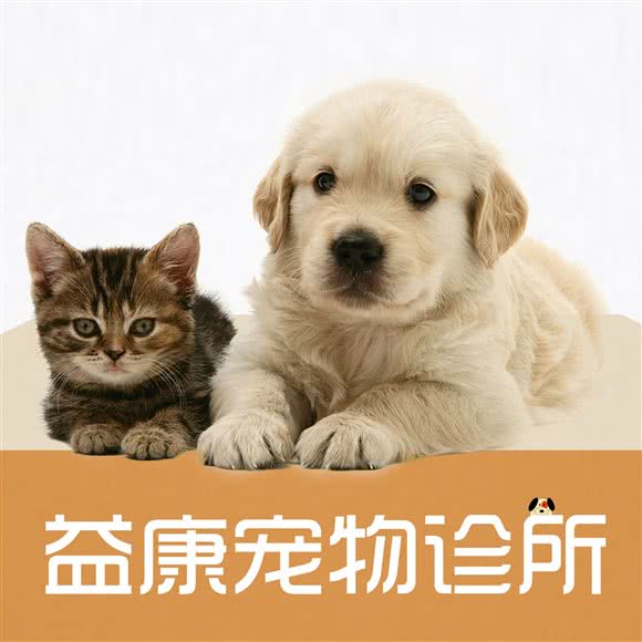 益康宠物诊所:济南市莱芜区莱芜区附近