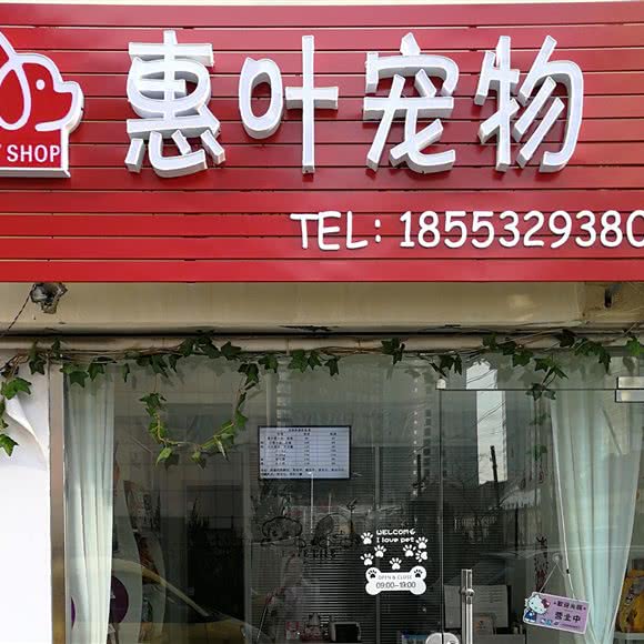 惠叶宠物:青岛市市南区万象城附近
