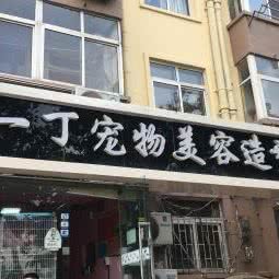 一丁宠物美容造型:青岛市市北区台东步行街附近