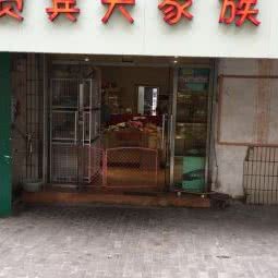 贵宾犬家族:青岛市市北区台东步行街附近