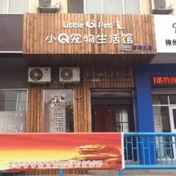 小Q动物生活馆(热河路店):青岛市市北区儿童公园/青岛港附近