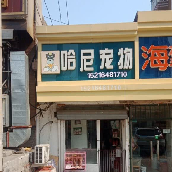 哈尼宠物:青岛市市北区中央商务区附近