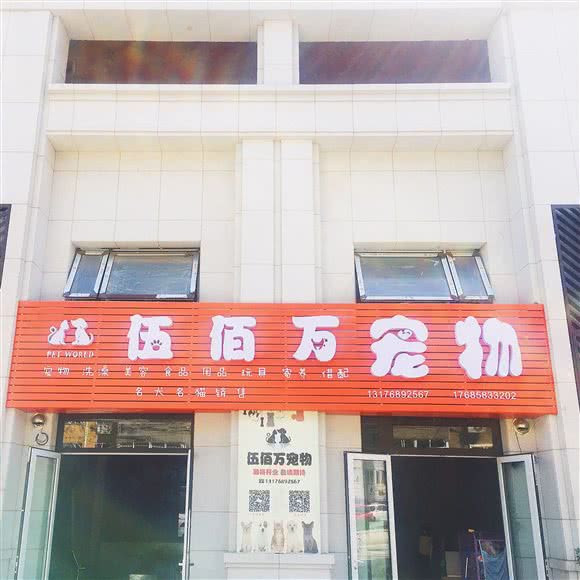 伍佰万宠物:青岛市市北区小村庄附近