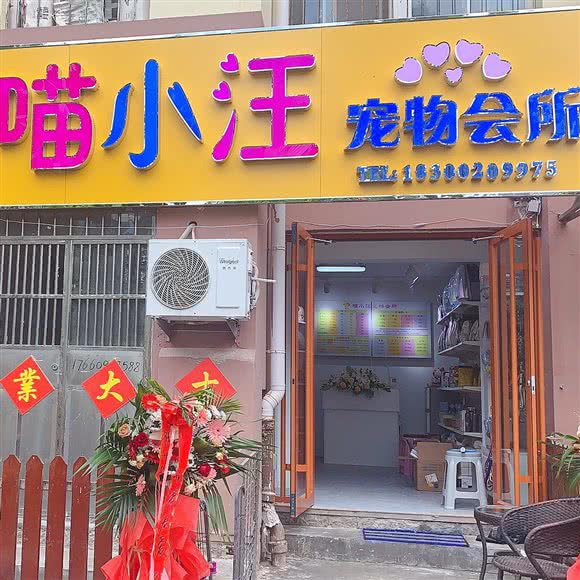 喵小汪宠物?美容?寄养:青岛市市北区浮山后附近