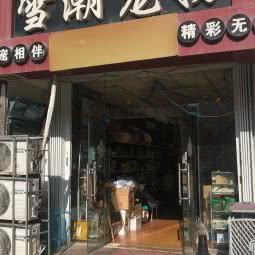 雪潮宠物(河马石店):青岛市市北区浮山后附近