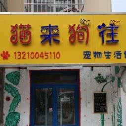 猫来狗往宠物生活馆:青岛市市北区海琴广场附近